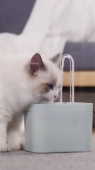 Project 3.gif